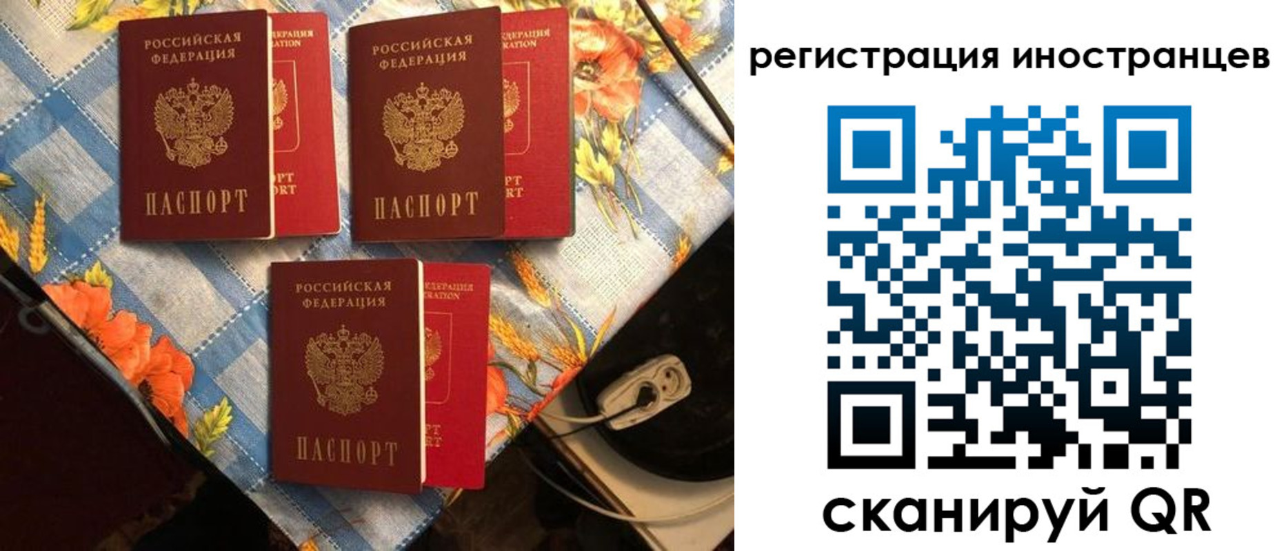 прописка поиск в Жердевке